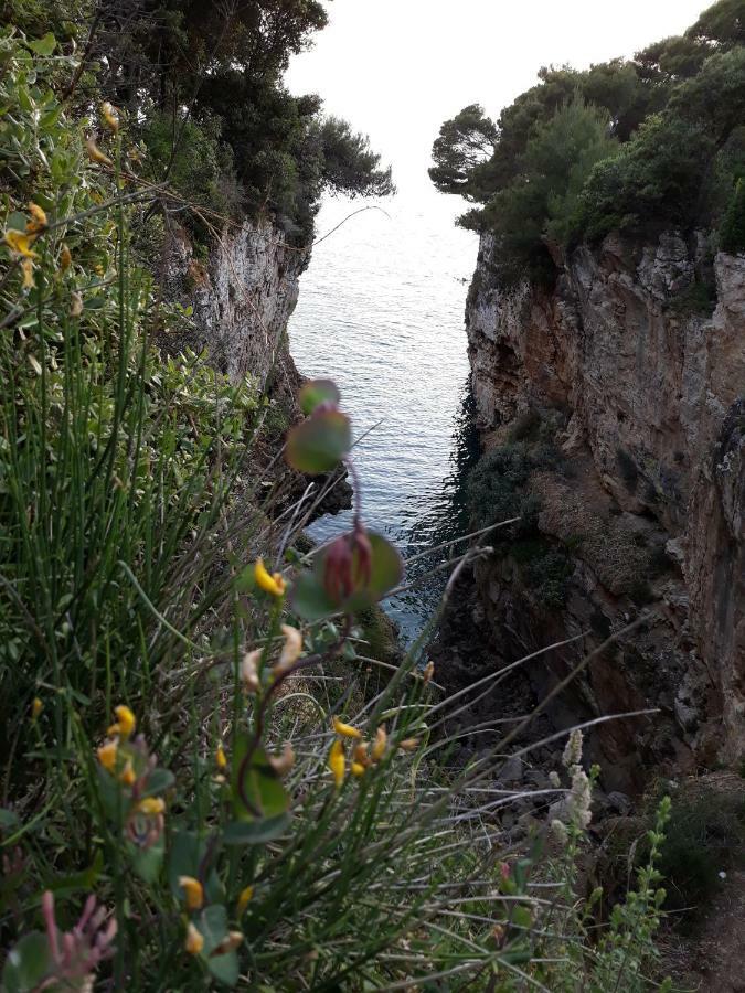 PUY Adria Vista Mare 아파트 외부 사진